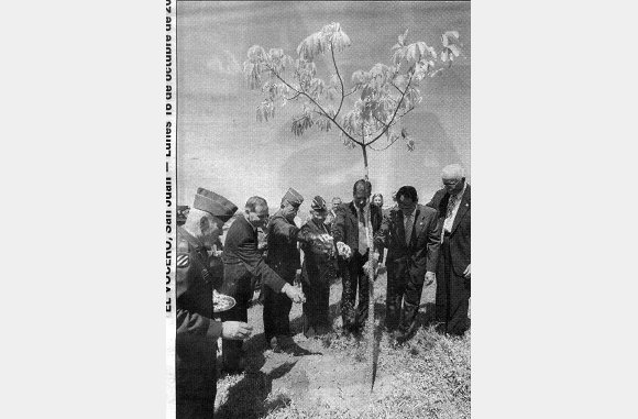 Arlington Cemetary - Veterans of the 65th plant a tree to honor those who did not come home.