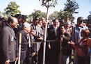 Governor Pedro Rossello (Center)  Mr. Luis Martinez (lost his brothers in the Korean War) surrounded by other Korean War Veterans help dedicate the Sugar Maple tree at Arlingotn Cemetery.