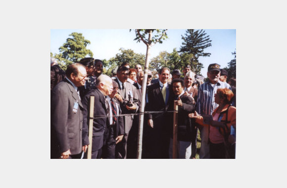 Governor Pedro Rossello (Center)  Mr. Luis Martinez (lost his brothers in the Korean War) surrounded by other Korean War Veterans help dedicate the Sugar Maple tree at Arlingotn Cemetery.