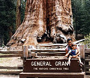 Millie and John in front of giant Sequoia tree "General Grant" - Sequoia National Park, California