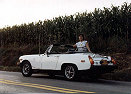 Millie in front of corn field in Pennsylvania - 1980